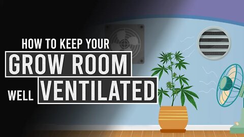 How to keep your Cannabis Grow-Room well Ventilated!