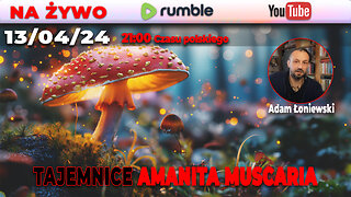 LIVE 13/04/24 | ADAM ŁONIEWSKI | TAJEMNICE AMANITA MUSCARIA