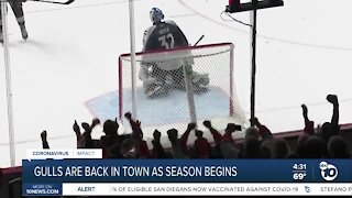 SD Gulls are back as season begins