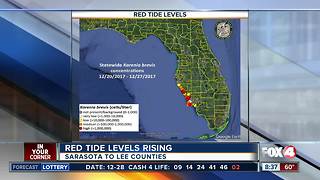 Red tide observed in Lee and Charlotte Counties