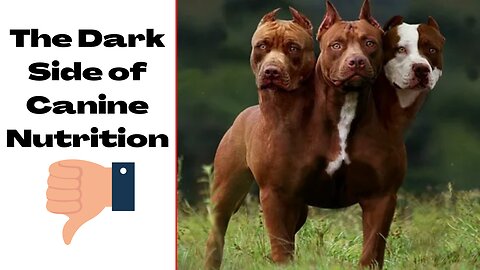 Shocking Truth Revealed: The Dark Side of Canine Nutrition | Exposing the Hidden Dangers