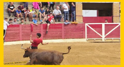 CERVERA DEL RIO ALHAMA ( LA RIOJA ) TARDE VACAS PLAZA ( VIERNES 9 JUNIO 2023 ) GANAD.MERINO