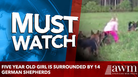 Five Year Old Girl Is Surrounded By 14 German Shepherds