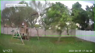 South Fort Myers storm damage