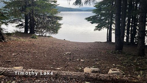 Hoodview Campground @ Timothy Lake | Boat Launch, Day Use Area & Best Campsites! | Mount Hood | 4K