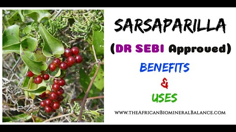 SARSAPARILLA - BENEFITS & USES (DR SEBI APPROVED)