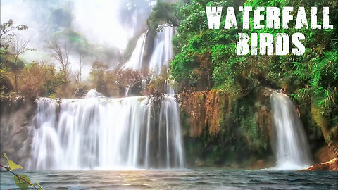 Waterfall Sound in Deep Forest, White Noise, Music for Sleep, Relaxation Insomnia Healing Meditation