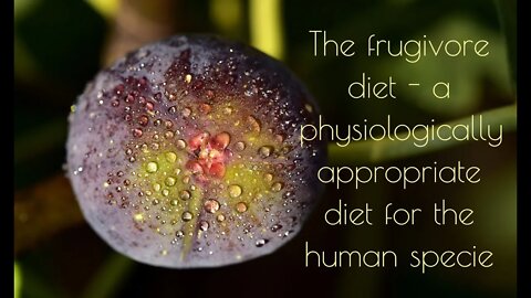 The frugivore diet - a physiologically appropriate diet for the human specie