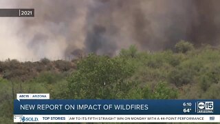 New report on impact of Arizona wildfires