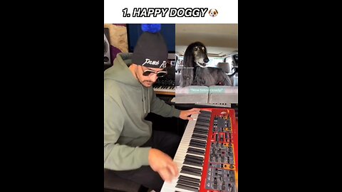 HAPPY DOGGIES ARE SINGING - PUR POSITIVE ENERGY & VIBRATIONS