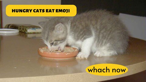 Hungry cats eat emoji