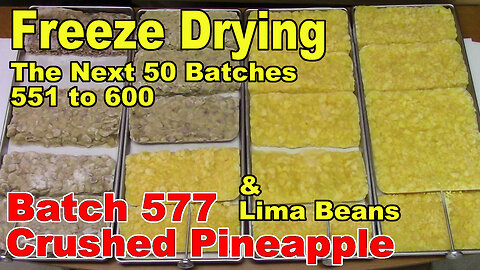 Freeze Drying - The Next 50 Batches - Batch 577 - Crushed Pineapple & Lima Beans w/Bacon and Onions