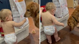 Toddler steals some tasty treats to feed the dog