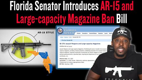 Florida Senator Introduces AR-15 and Large-capacity Magazine Ban Bill SB 370