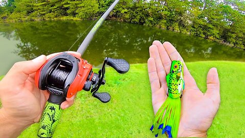 Fishing Topwater FROGS for GIANT Bass (Bank Fishing)