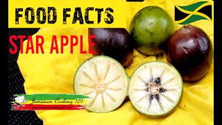 THE STAR APPLE (JAMAICAN FOOD FACTS )