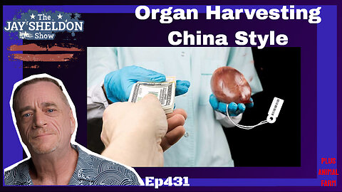 China Organ Harvesting