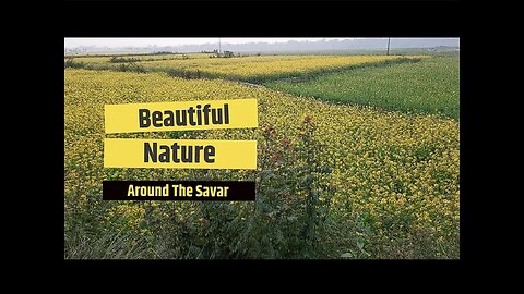 Beautiful Nature Around The Savar