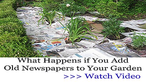 What Happens if You Add Old Newspapers to Your Garden?