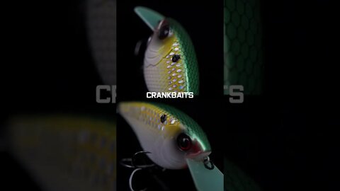 The Flat Sided Crankbait that BASS Won't be able to RESIST