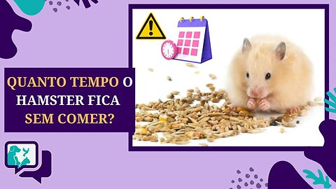 Por quanto tempo um HAMSTER pode ficar SEM COMER?