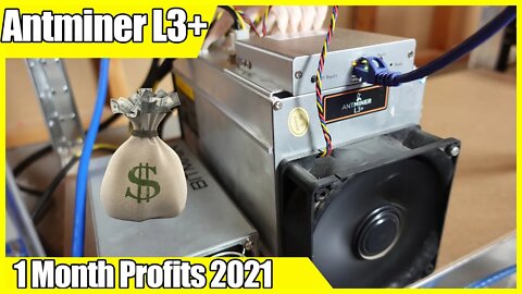 Antminer L3+ Profitability | How Much Has the L3+ Made Us?