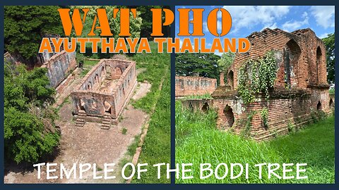 Wat Pho วัดโพธิ์ - Temple of the Bodi Tree - Ayutthaya Historical Park 2024 With Drone Footage