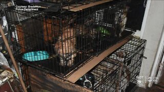 Police: 14 neglected dogs rescued from Bradenton home