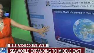 1st SeaWorld park without orcas opening in Abu Dhabi in 2022