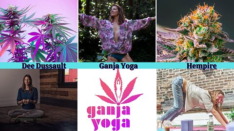 Hempire | Getting Down with Ganja Yoga Founder Dee Dussault