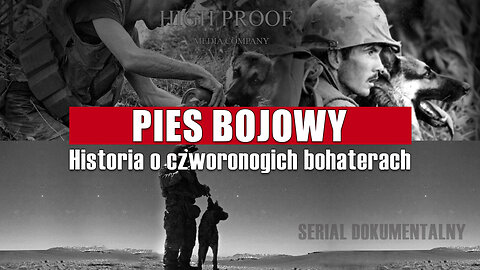 Psy bojowe - historia czworonogich bohaterów (4K). #wojsko #psy