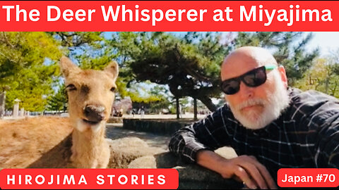 The Deer Whisperer at Miyajima in The Hiroshima Story in Japan #70