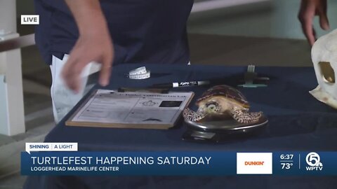 18th annual TurtleFest returning to Juno Beach this weekend