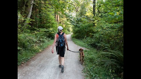 My Dog is super happy Walking in forest - Amazing Nature Scenerly