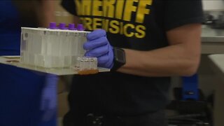 LCSO DNA Crime Lab