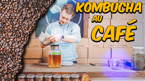 ☕️☕️☕️ Kombucha à base de CAFÉ ! ☕️☕️☕️