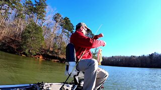 Lake Hartwell Fishing Report - March 2020