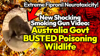 Australia Neurotoxic Fipronil Wildlife GENOCIDE Continues: 500+ MILLION Bees DEAD And Untold Animals
