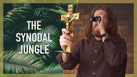 A Synodal Church is a Jungle