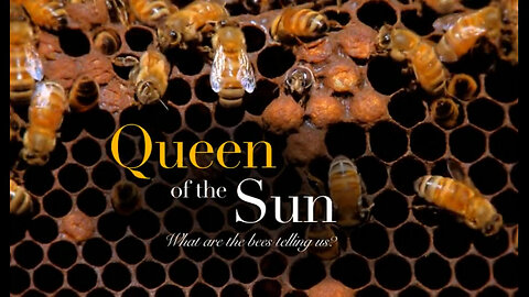 Queen of the Sun [2010 - Taggart Siegel]
