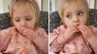 Young Foodie Toddler Loves Eating Mussels