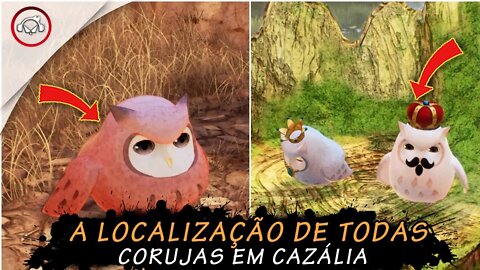 Tales of arise, A localização de todas as corujas em Cazália| super dica PT-BR