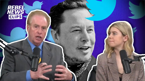 Leftist pundits have meltdown over Elon Musk's Twitter purchase