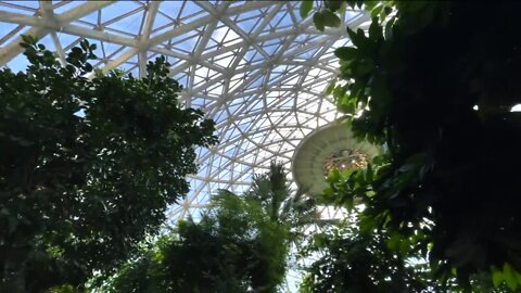 Future of Milwaukee’s Mitchell Park Domes? County says all options are on the table
