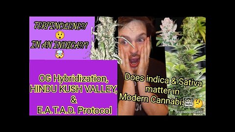 Terpology - Understanding Modern Cannabis Likely Experience Prior to Purchase w/ COA - Terpz Are Key