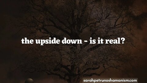 🌎👻 The Upside Down - Is it Real? Shamanic Non Ordinary Realities