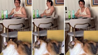 Cat Perfectly Sings Along With Owner