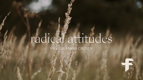 Radical Attitudes-11/05/23