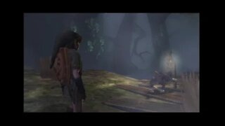 The Legend of Zelda Twilight Princess 100% GC #4 Forest Temple (No Commentary)