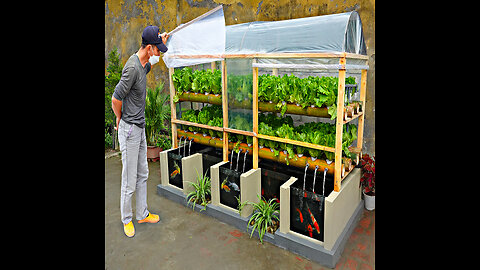 Farmer taught how to DIY aquarium and greenhouse to grow aquatic vegetables